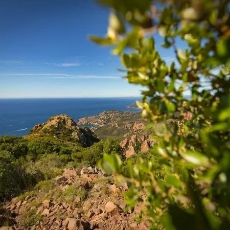 Apartamento Cap Esterel 69